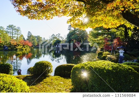 金澤兼六園，日本三大名園之一，正值紅葉盛季 131569884