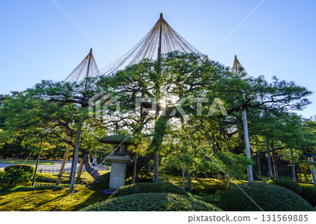金澤兼六園，日本三大名園之一，正值紅葉盛季 131569885