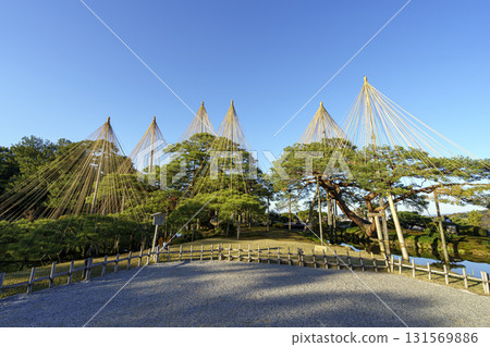 金澤兼六園，日本三大名園之一，正值紅葉盛季 131569886