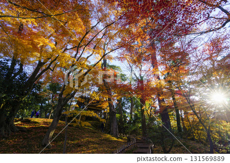 金澤兼六園，日本三大名園之一，正值紅葉盛季 131569889