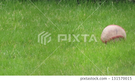 Hardball on the grass Hardball on the grass 131570015