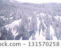 Snow Monsters Forest at Mount Zao Japan 131570258