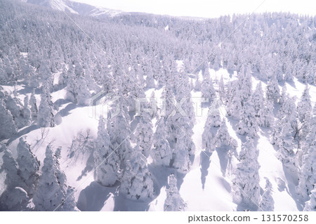 Snow Monsters Forest at Mount Zao Japan 131570258
