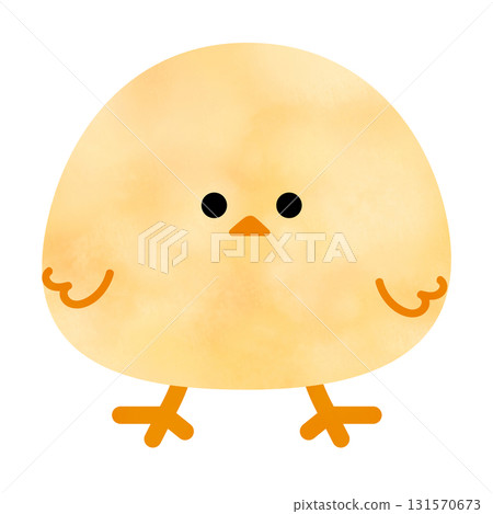 Cute face chick Cute face chick 131570673