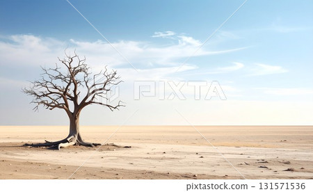Photogenic dead tree background image 131571536