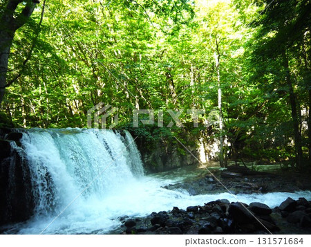 綠意盎然的銚子大瀑布 131571684