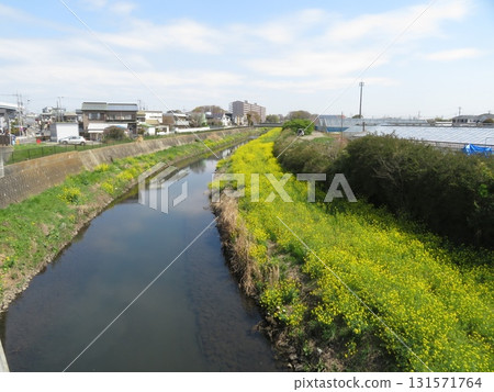 Mekujiri River, Samukawa Town, Kanagawa Prefecture Mekujiri River, Samukawa Town, Kanagawa Prefecture 131571764