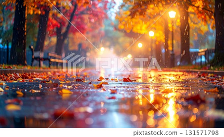 Image of autumn: A path of rain-soaked autumn leaves Image of autumn: A path of rain-soaked autumn leaves 131571798