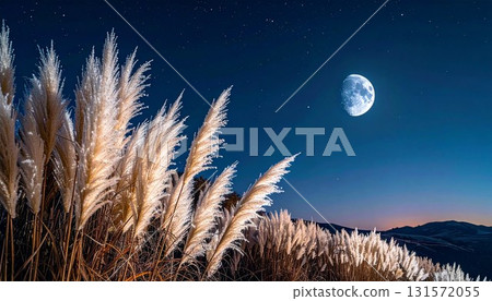 秋季圖片：背景為紫芒和滿月 131572055