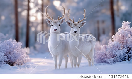 Two Majestic White Deer in Enchanting Winter Forest with Frosted Purple Bushes 131572638