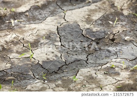 Cracked dry dirt flat surface, abstract texture, copy space background, retro pattern. 131572675