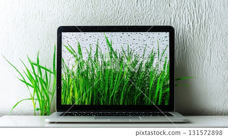 Laptop Screen Shows RainKissed Grass. 131572898