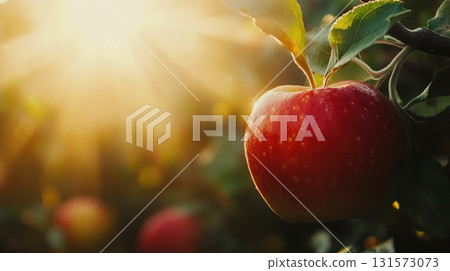 Sunlit Red Apple on Branch. 131573073
