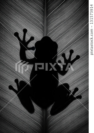 Frog silhouette on tropical leaf with backlight pattern Frog silhouette on tropical leaf with backlight pattern 131573914