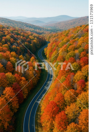 Winding Road Through Bright Autumn Forest Hills Vertical 131573969