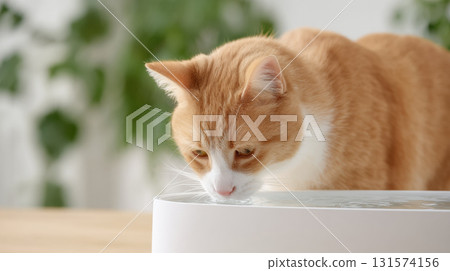 Content ginger cat drinking fresh water from modern fountain. thirsty pet looks healthy lapping from indoor dispenser, focus on pet wellness and hydration Content ginger cat drinking fresh water from modern fountain. thirsty pet looks healthy lapping from indoor dispenser, focus on pet wellness and hydration 131574156