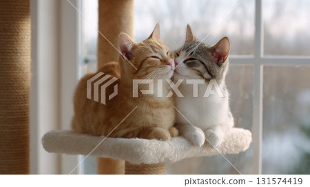 Two adorable cat friends show affection and love while cuddling and grooming each other. cute ginger and tabby kitten pair relax together on soft cat tree indoor 131574419