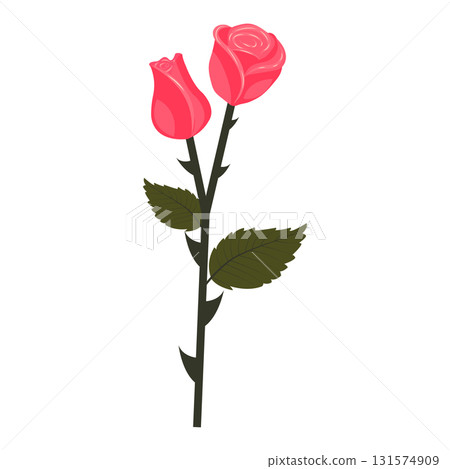 Bright pink rose. Flower on a stem with leaves. Vector illustration isolated on a white background. 131574909