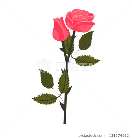 Bright pink rose. Flower on a stem with leaves. Vector illustration isolated on a white background. Bright pink rose. Flower on a stem with leaves. Vector illustration isolated on a white background. 131574912