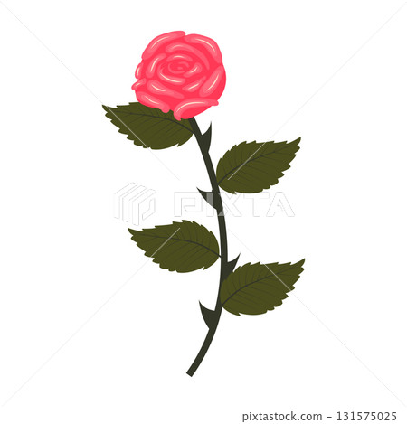 Bright pink rose. Flower on a stem with leaves. Vector illustration isolated on a white background. Bright pink rose. Flower on a stem with leaves. Vector illustration isolated on a white background. 131575025