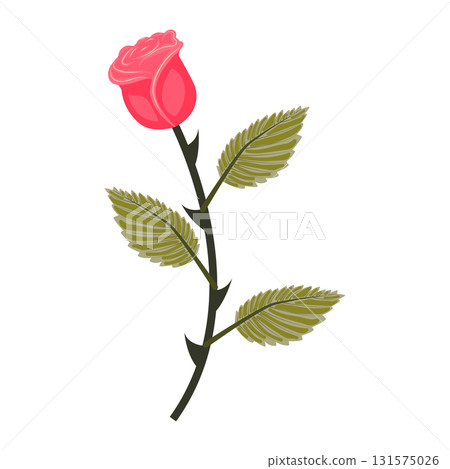 Bright pink rose. Flower on a stem with leaves. Vector illustration isolated on a white background. 131575026