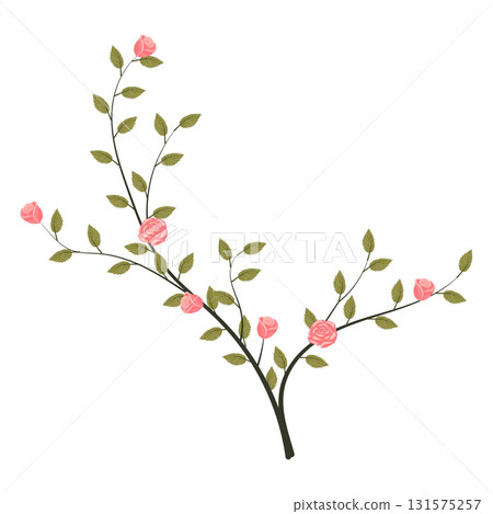A young rose bush with blooming light pink roses. Vector illustration on a white background. 131575257