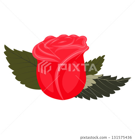Red rose flower with leaves. Vector illustration on a white background. 131575436