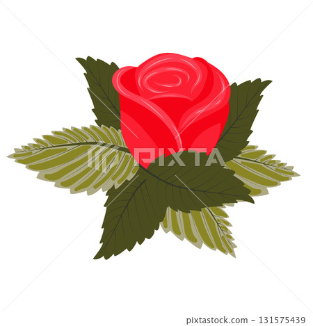 Red rose flower with leaves. Vector illustration on a white background. 131575439