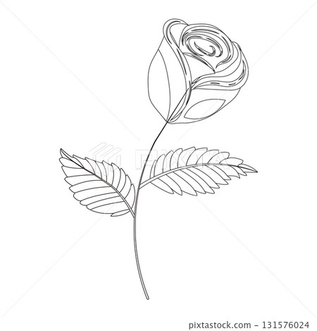 A simple single rose in doodle style. Vector illustration on a white background. A simple single rose in doodle style. Vector illustration on a white background. 131576024