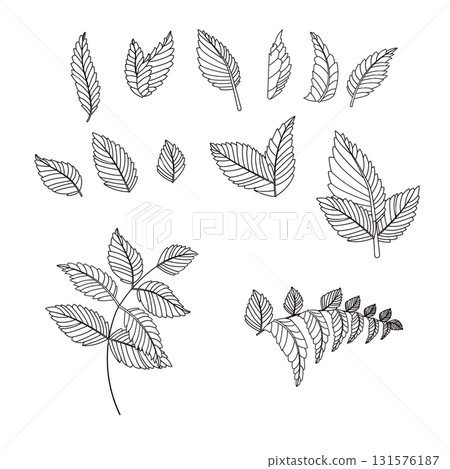 Set of leaves in doodle style. Vector illustration isolated on white background. Set of leaves in doodle style. Vector illustration isolated on white background. 131576187