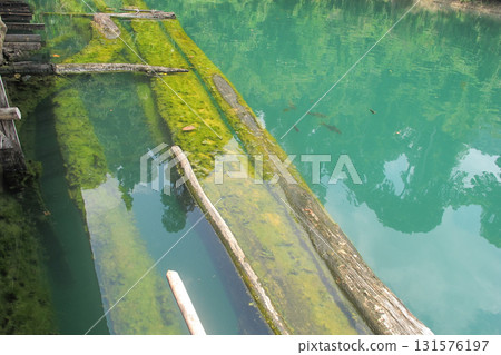 Mossy wooden walkway over turquoise lake with submerged logs reflecting trees, serene natural scene with fish visible Mossy wooden walkway over turquoise lake with submerged logs reflecting trees, serene natural scene with fish visible 131576197