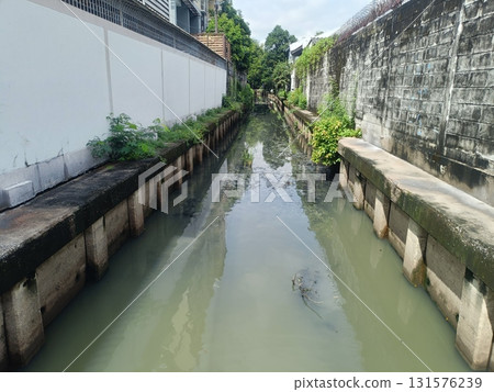 Narrow urban canal with murky water, concrete retaining walls, overgrown plants and reflections, calm cloudy sky creating quiet mood Narrow urban canal with murky water, concrete retaining walls, overgrown plants and reflections, calm cloudy sky creating quiet mood 131576239