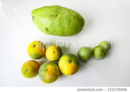 Autumn harvest of quince, trifoliate orange, and pawpaw at Iwate University Botanical Garden, home of Miyazawa Kenji's alma mater Autumn harvest of quince, trifoliate orange, and pawpaw at Iwate University Botanical Garden, home of Miyazawa Kenji's alma mater 131576946