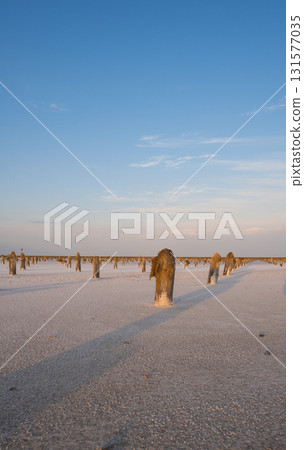 The pillars are the remains of platforms on which salt was dried at sunset. Lake Baskunchak. Astrakhan region, Russia The pillars are the remains of platforms on which salt was dried at sunset. Lake Baskunchak. Astrakhan region, Russia 131577035