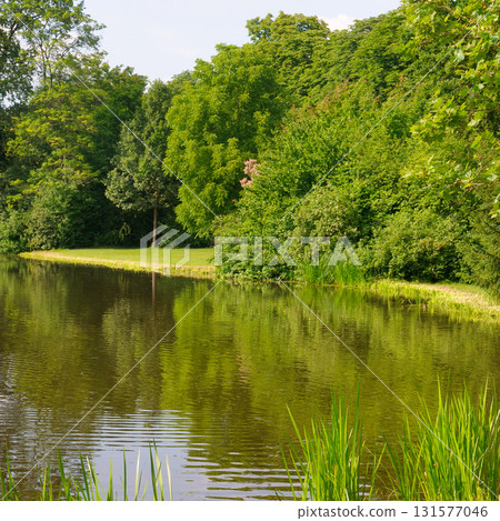 Peaceful Summer Pond in a Park. Peaceful Summer Pond in a Park. 131577046