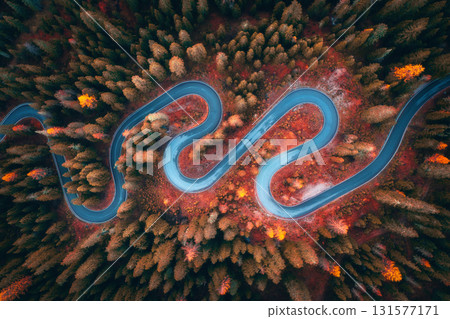 Aerial view of winding serpentine road in colorful autumn forest 131577171