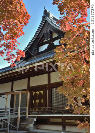 世界遺產仁與寺：本堂與楓樹（京都市右京區） 131577376