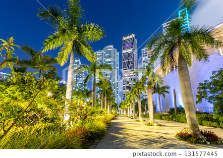 Miami skyline with skyscrapers at Maurice A. Ferre Park at night in Miami, United States 131577445
