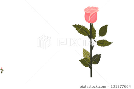 Delicate pink rose. Flower and bud on one stem. Vector illustration isolated on white background. 131577664