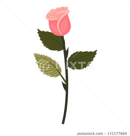 Delicate pink rose. Flower and bud on one stem. Vector illustration isolated on white background. Delicate pink rose. Flower and bud on one stem. Vector illustration isolated on white background. 131577669