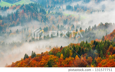 Misty autumn mountain landscape at sunrise in Slovenia Misty autumn mountain landscape at sunrise in Slovenia 131577751