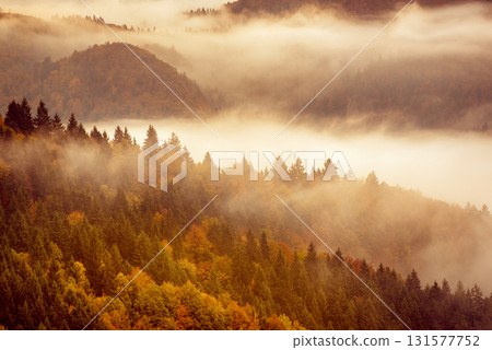 Misty autumn mountain landscape at sunrise in Slovenia Misty autumn mountain landscape at sunrise in Slovenia 131577752