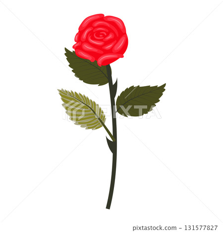 Bright red rose. Lush flower on a slightly inclined stem. Vector illustration isolated on a white background. 131577827