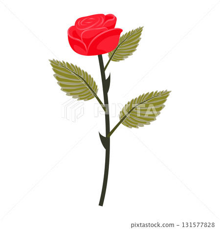 Bright red rose. Lush flower on a slightly inclined stem. Vector illustration isolated on a white background. 131577828