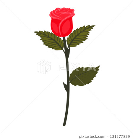 Bright red rose. Lush flower on a slightly inclined stem. Vector illustration isolated on a white background. 131577829