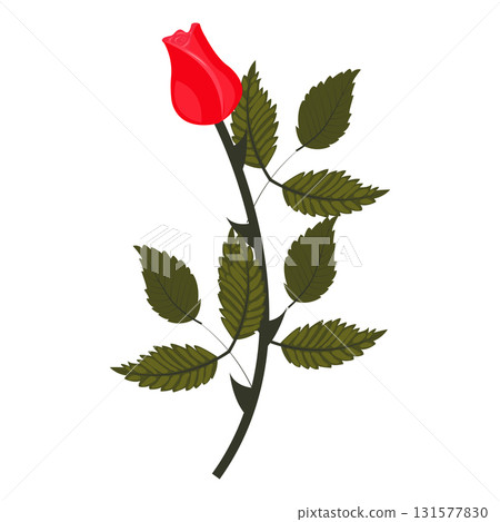 Bright red rose. Lush flower on a slightly inclined stem. Vector illustration isolated on a white background. 131577830