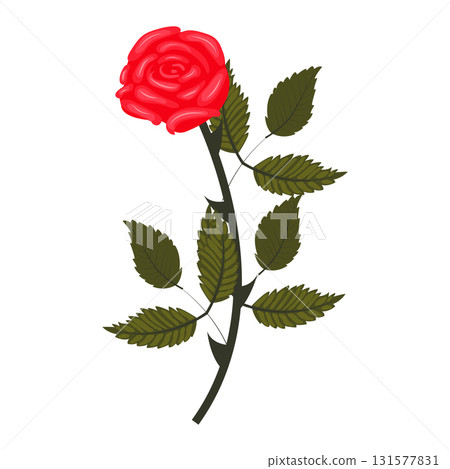 Bright red rose. Lush flower on a slightly inclined stem. Vector illustration isolated on a white background. Bright red rose. Lush flower on a slightly inclined stem. Vector illustration isolated on a white background. 131577831