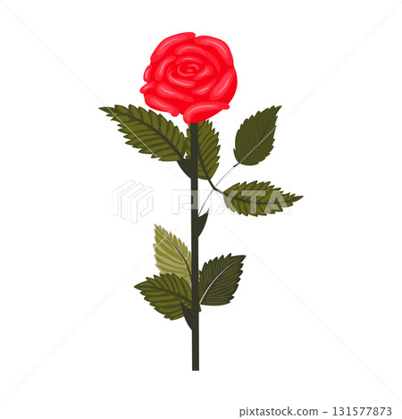 Bright red rose. Lush flower on a slightly inclined stem. Vector illustration isolated on a white background. 131577873