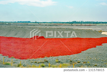 Sun-dried chili peppers in the Gobi Desert, Ili Prefecture, Xinjiang Uyghur Autonomous Region, China Sun-dried chili peppers in the Gobi Desert, Ili Prefecture, Xinjiang Uyghur Autonomous Region, China 131578015