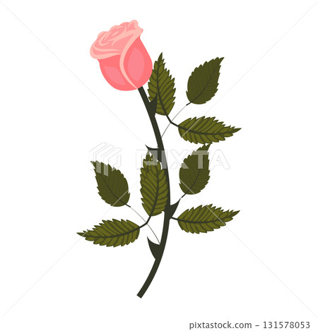 Delicate pink rose. Cute flower on a straight even stem. Vector illustration isolated on white background. 131578053